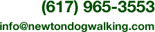 Contact Us | Exceptional Service for Exceptional Dogs | Dog Walking, Socialization, and Overnight Care | Serving Newton, Brookline, Weston, Watertown and Wellesley, Massachusetts