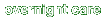 Overnight Care