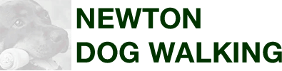 Newton Dog Walking
